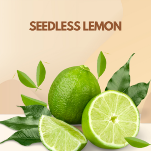 Seedless Lemon