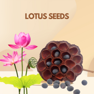 Lotus Seeds