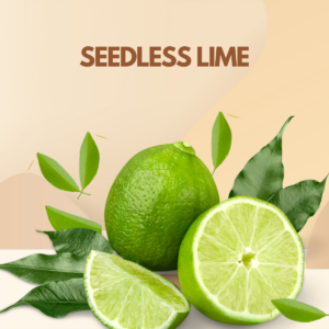 Seedless Lime