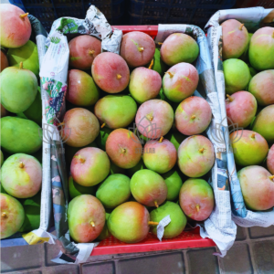 australia-r2e2-mango