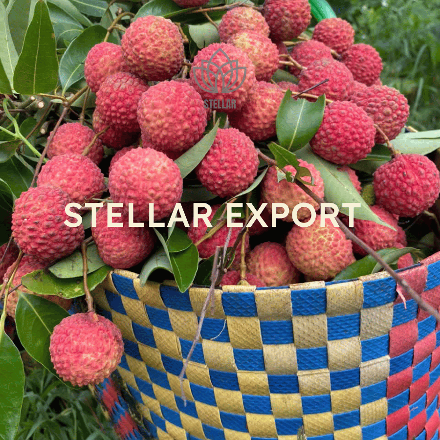 vietnam-lychee