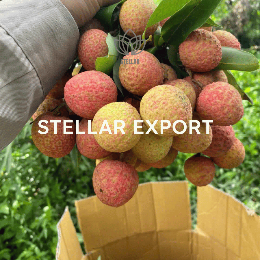 vietnam-lychee-2