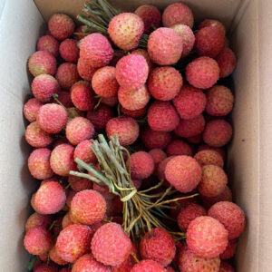 vietnam-lychee-4