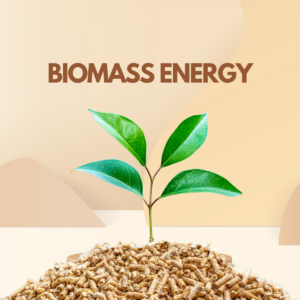 Biomass Energy