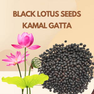 Kamal gatta