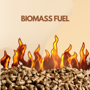 Biomass Fuel